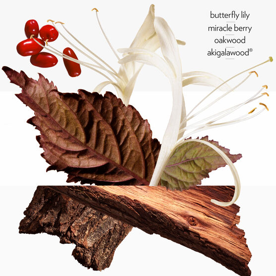 Perfume Hermès Barénia Feminino Eau de Parfum